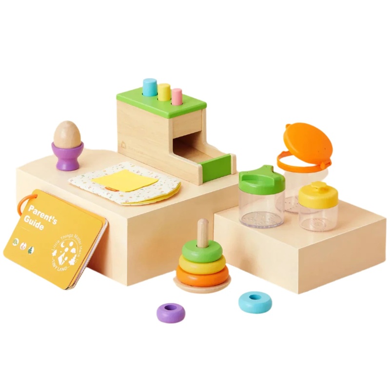 Tiny Land Montessori Toys Set for Infants (10-12 month)
