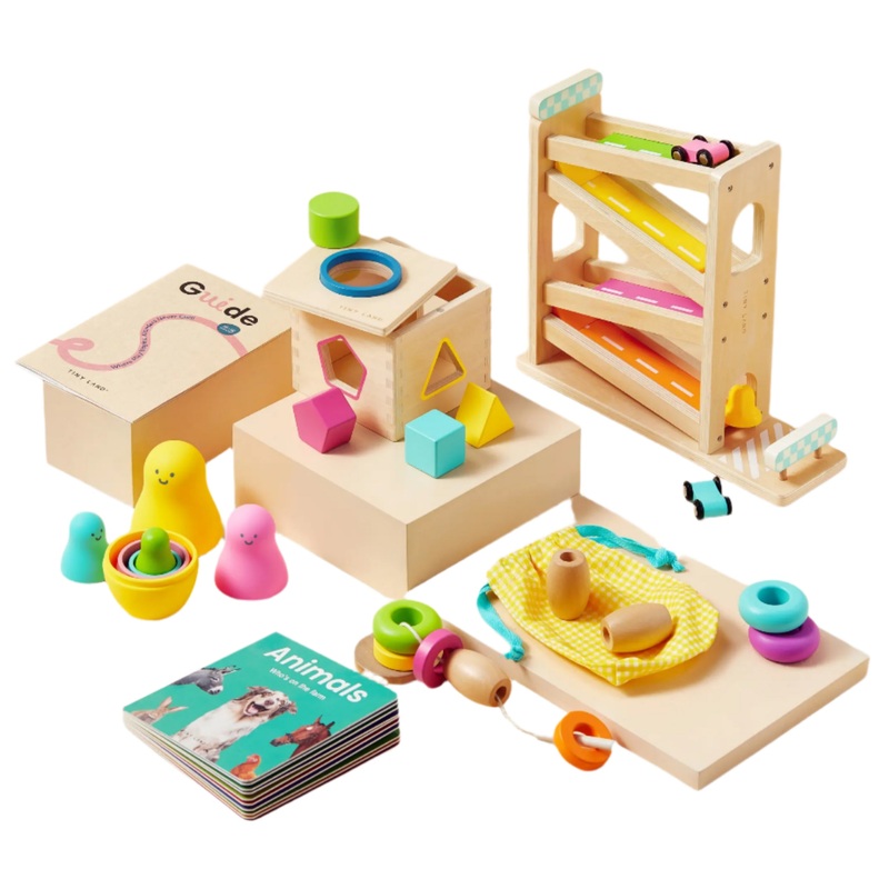Tiny Land Montessori Toys Set for Toddlers (16-18 month)