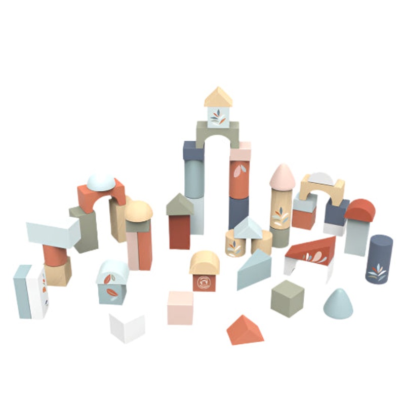 Building Blocks (50 pieces)