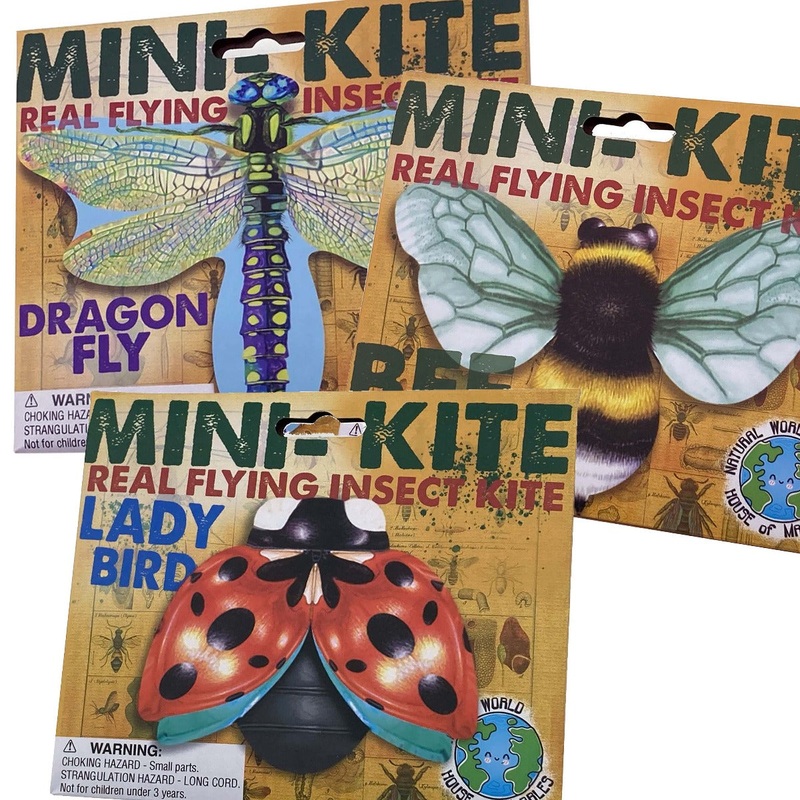 Mini Kit Flying Insect - One RANDOM style