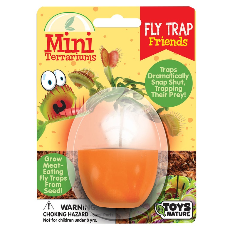 Fly Trap Friends Mini Terrarium