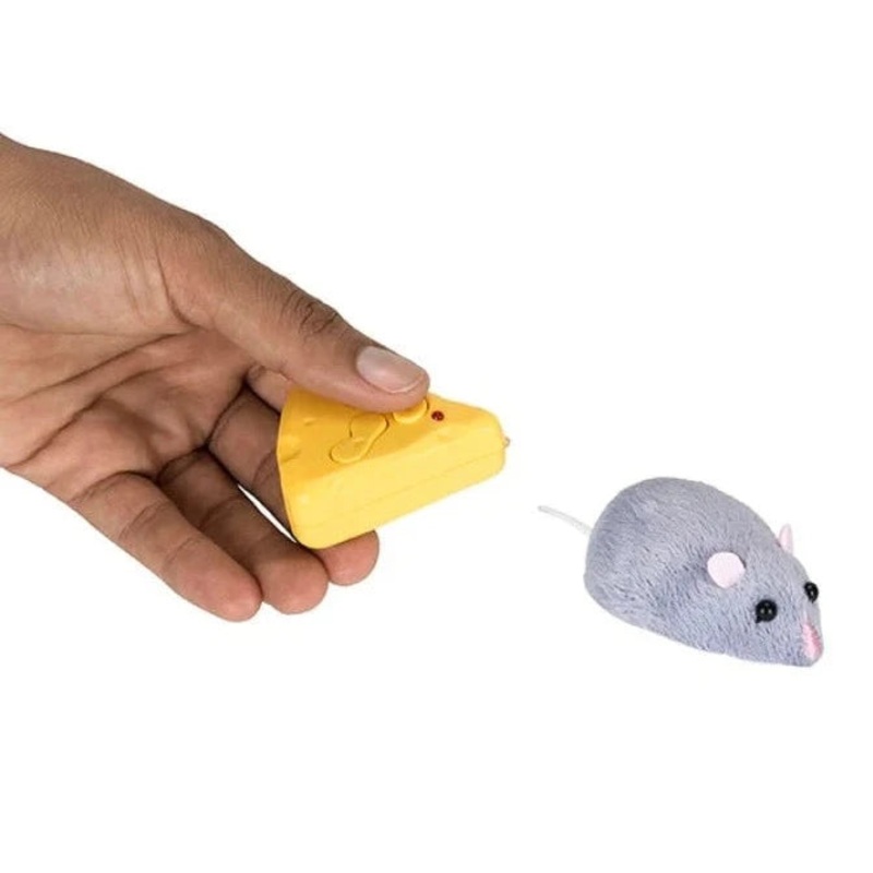 Meddling Mouse