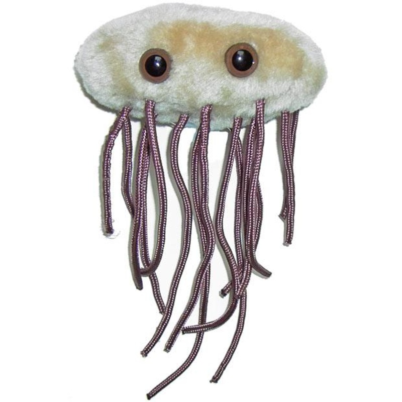 Giantmicrobe E Coli