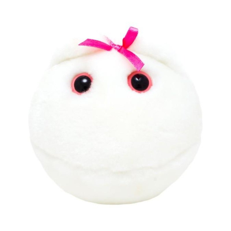 Giantmicrobes Egg Cell