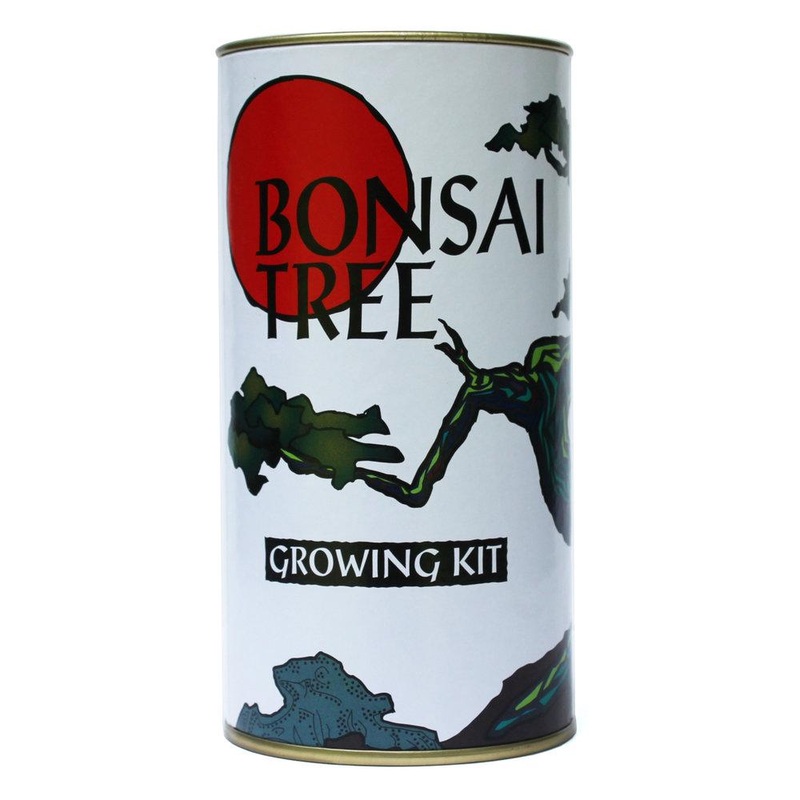 Grow Bonsai Tree Kit USA