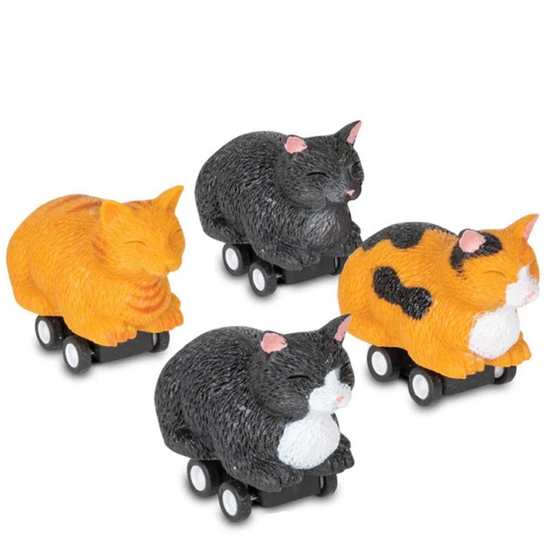 Racing Bread Loaf Cat - 1 random style