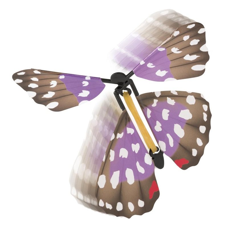 Butterfly Surprise