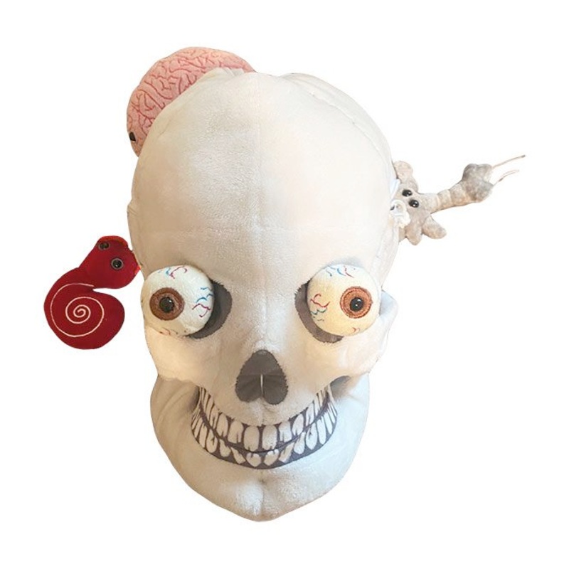 Deluxe Skull With Minis