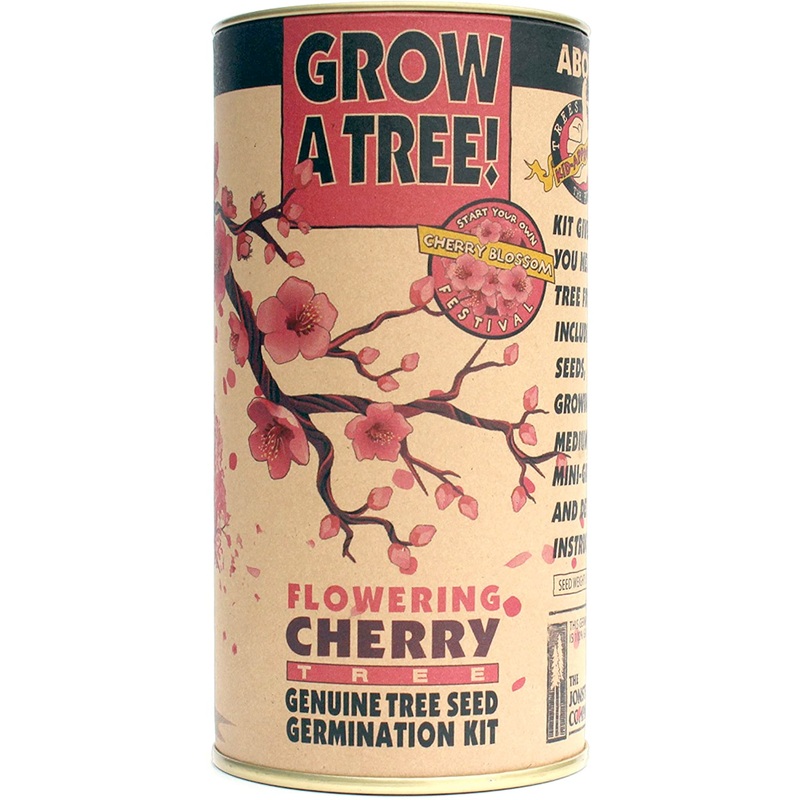 Flowering Cherry Blossom Grow Kit