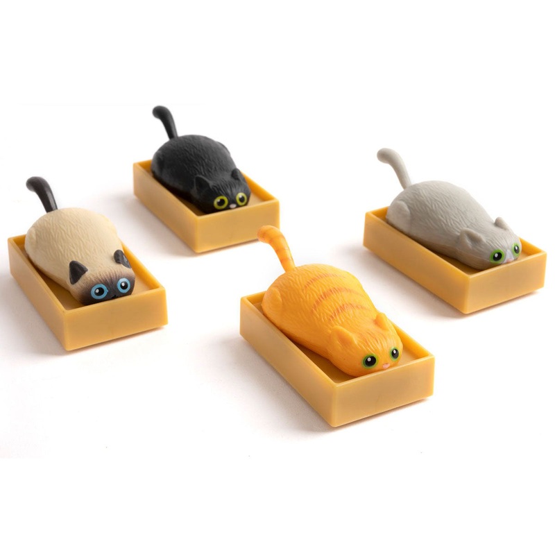 Racing Cat in Box - 1 random color