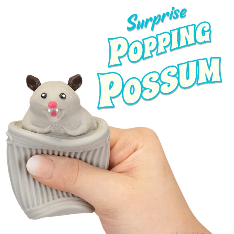 Surprise popping Possum