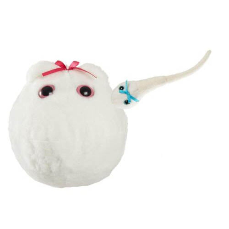 XL Egg with magnetic mini Sperm