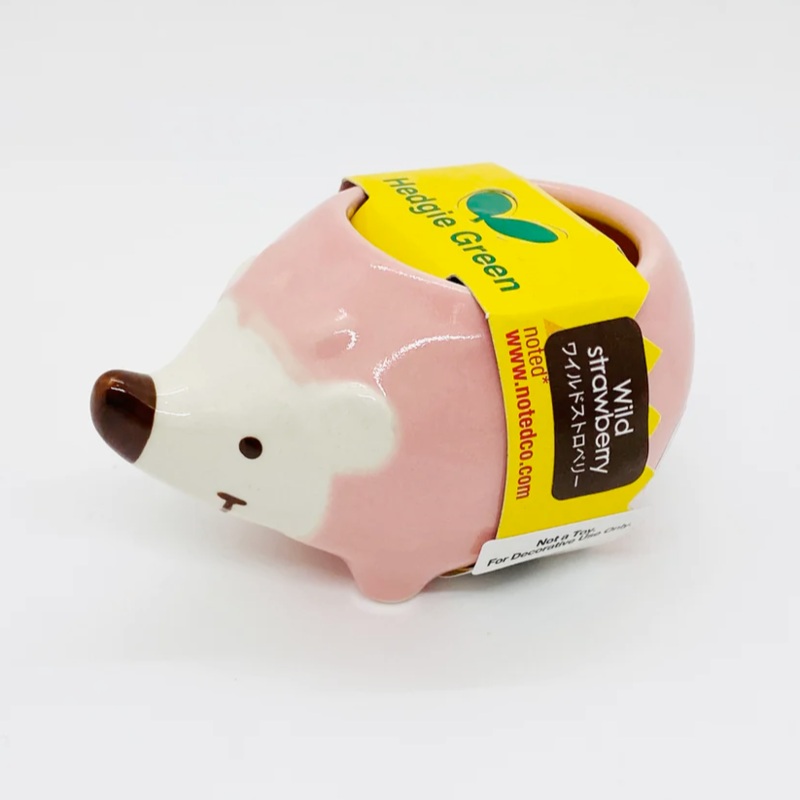 Hedgie Green planter - 1 random color